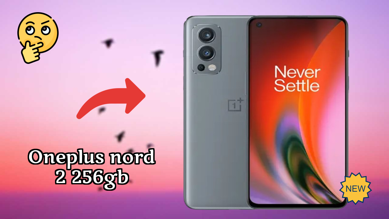 OnePlus Nord 2 256GB Price Review: ₹29,992 Worth the Money?